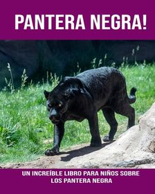 Pantera Negra Un Incre Ble Libro Para Ni Os Sobre Los Pantera Negra