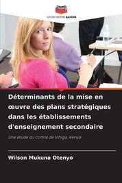 D Terminants De La Mise En Oeuvre Des Plans Strat Giques Dans Les