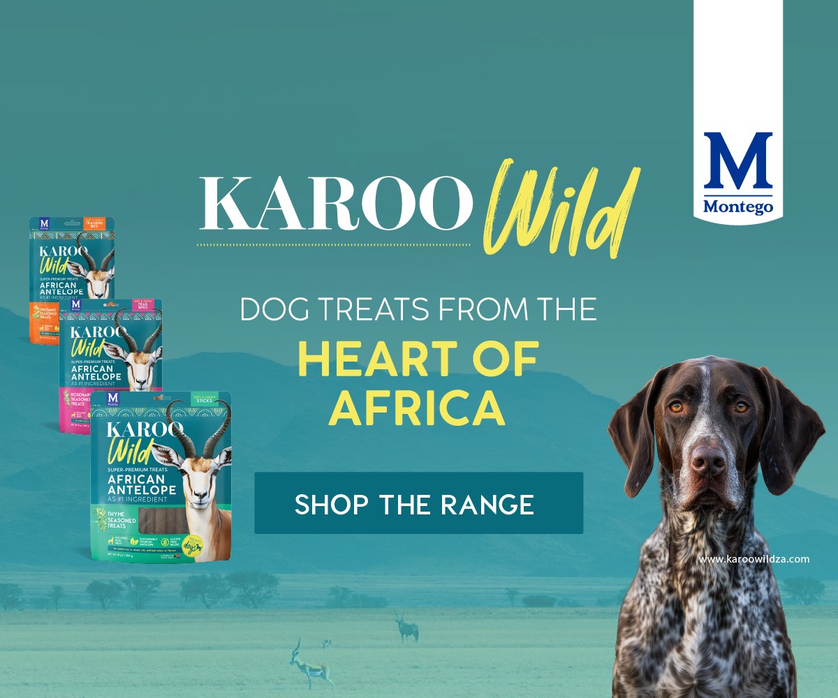Montego dog food factory shop shop