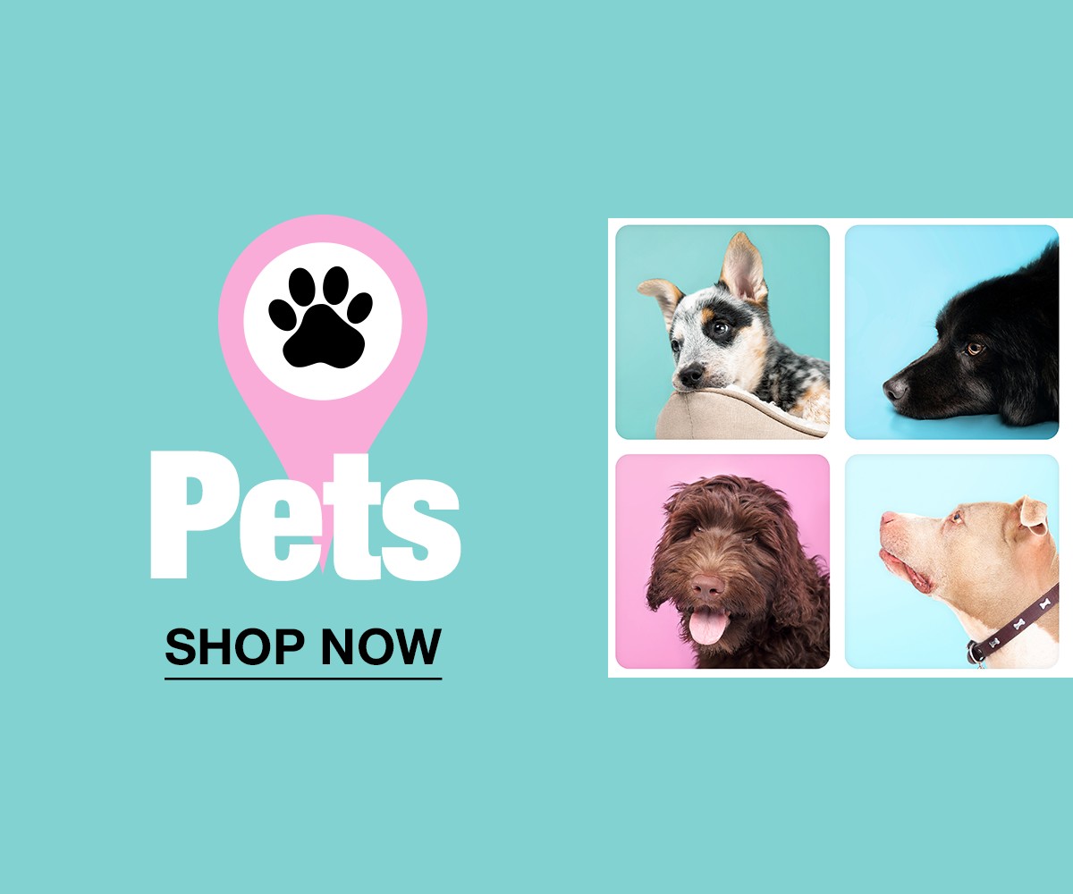 Pet animals online shopping hot sale