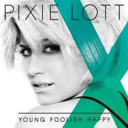 Young Foolish Happy (CD)