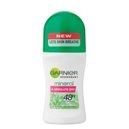 Garnier Roll On Absolute Dry