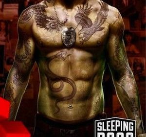 Sleeping Dogs: Limited Edition (Xbox 360)