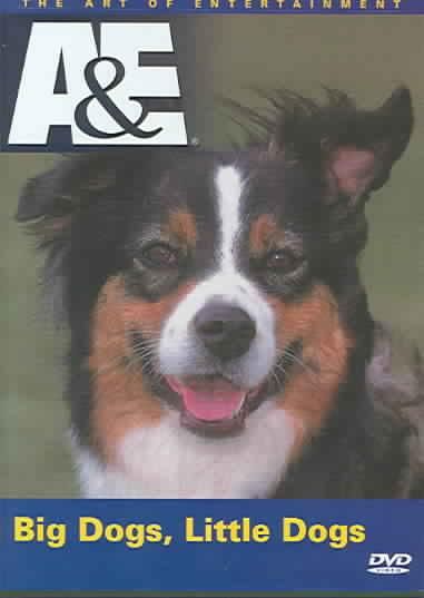 Big Dogs Little Dogs - (Region 1 Import DVD)