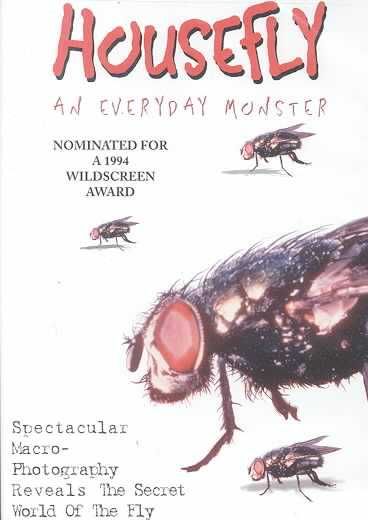 Housefly:an Everyday Monster - (Region 1 Import DVD)