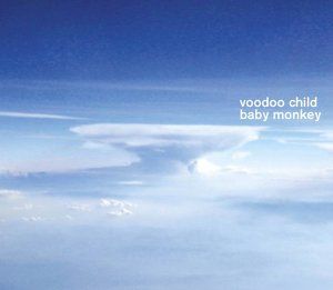 Voodoo Child - Baby Monkey (CD)