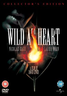 Wild at Heart(DVD)