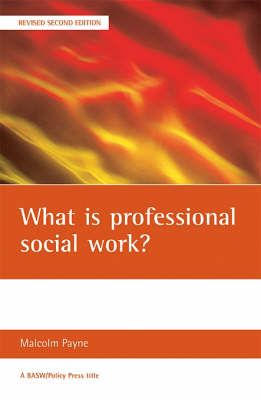 What is Professional Social Work?