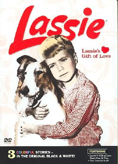 Lassie's Gift of Love - (Region 1 Import DVD)