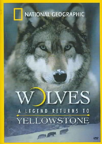 Wolves:Legend Returns to Yellowstone - (Region 1 Import DVD)