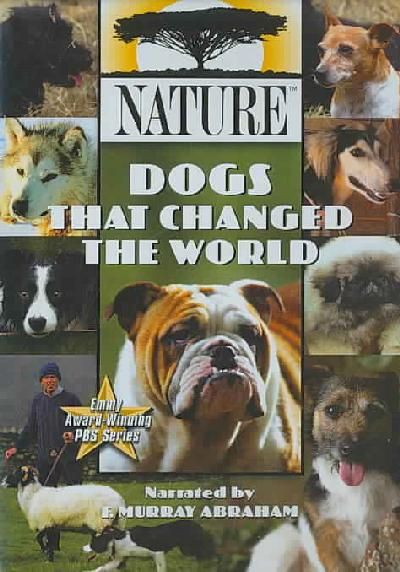 Nature:Dogs That Changed the World - (Region 1 Import DVD)