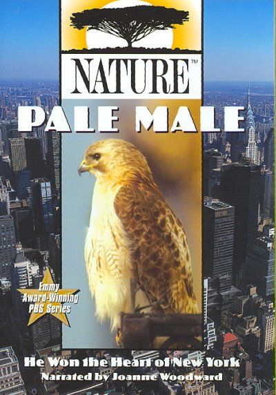 Nature:Pale Male - (Region 1 Import DVD)