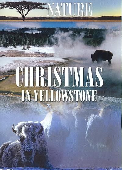 Nature:Christmas in Yellowstone - (Region 1 Import DVD)