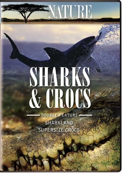 Nature:Crocs &amp; Sharks - (Region 1 Import DVD)