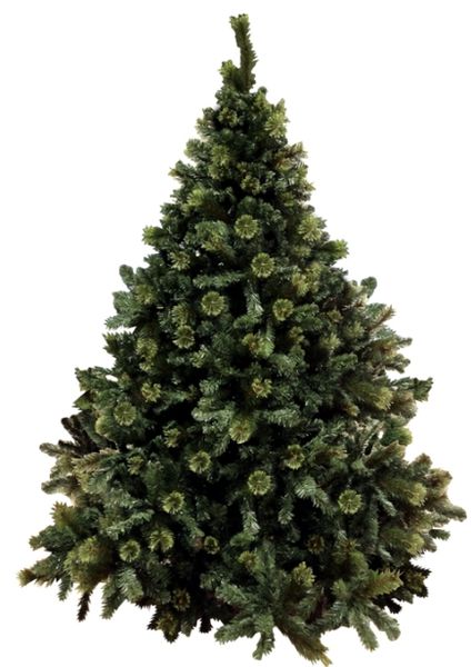 Traditional Christmas Tree, Full Shape (2.1m)