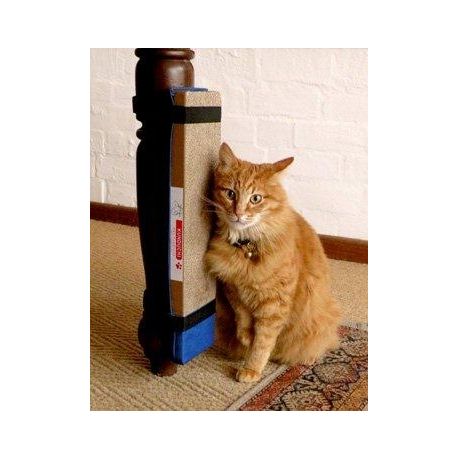 takealot cat scratch posts