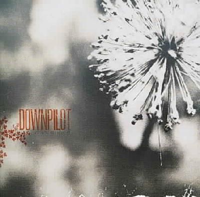 Like You Believe It - (Import CD)