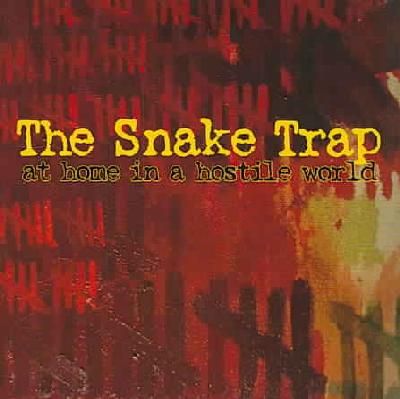 At Home in a Hostile World - (Import CD)
