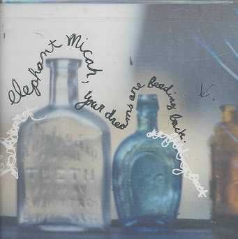 Your Dreams Are Feeding Back - (Import CD)