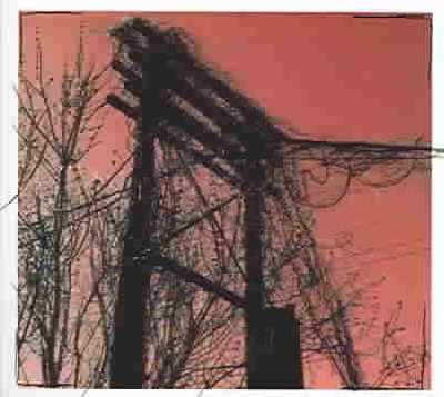 Accidents with Nature and Each Other - (Import CD)