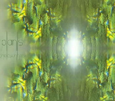 Photosynthesis - (Import CD)