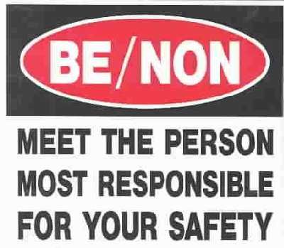 Meet the Person Most Responsible - (Import CD)