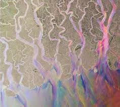 An Awesome Wave (CD / Album with DVD)