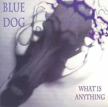 What is Anything - (Import CD)