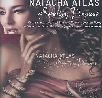 Something Dangerous (CD)