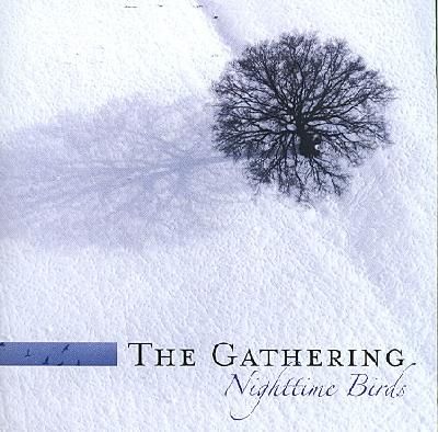Nighttime Birds - (Import CD)