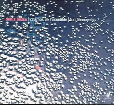 Champs De L'inaudible - Trio Fibonacci (CD / Album)
