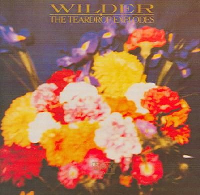 Teardrop Explodes - Wilder (Remastered + Xtra Tracks) - (CD)