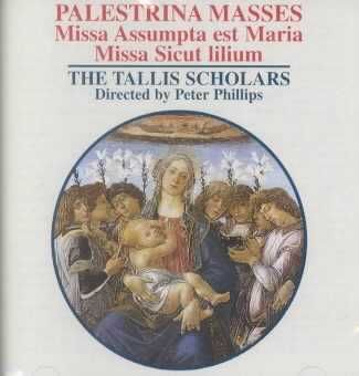 Palestrina:Masses/Phillips the Tallis - (Import CD)