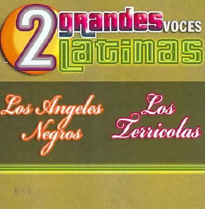 2 Grandes Voces Latinas - (Import CD)