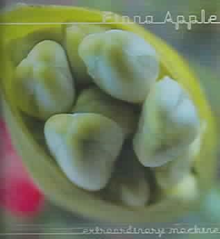 Extraordinary Machine - (Import CD)