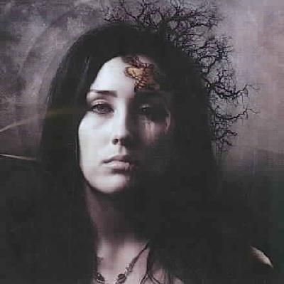 Darkness Between (CD / Album)