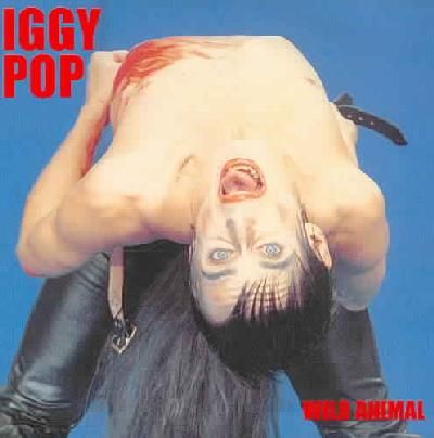 Wild Animal - (Import CD)