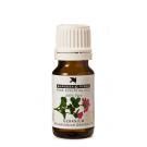 Burgess &amp; Finch Geranium Oil 10ml
