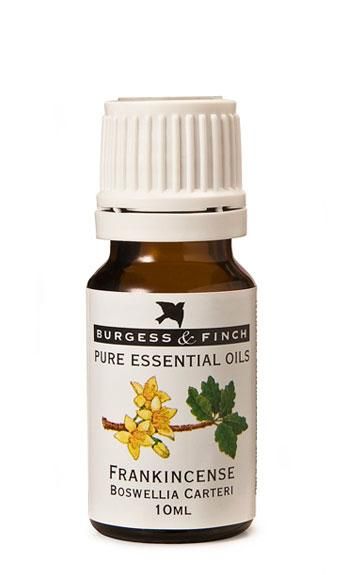Burgess &amp; Finch Frankincense Oil 10ml