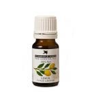 Burgess &amp; Finch Aromatherapy Oil Lemon 10ml