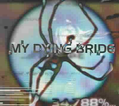 34.788% Complete - (Import CD)