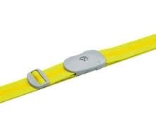 Go Travel The Lock Strap - Parent