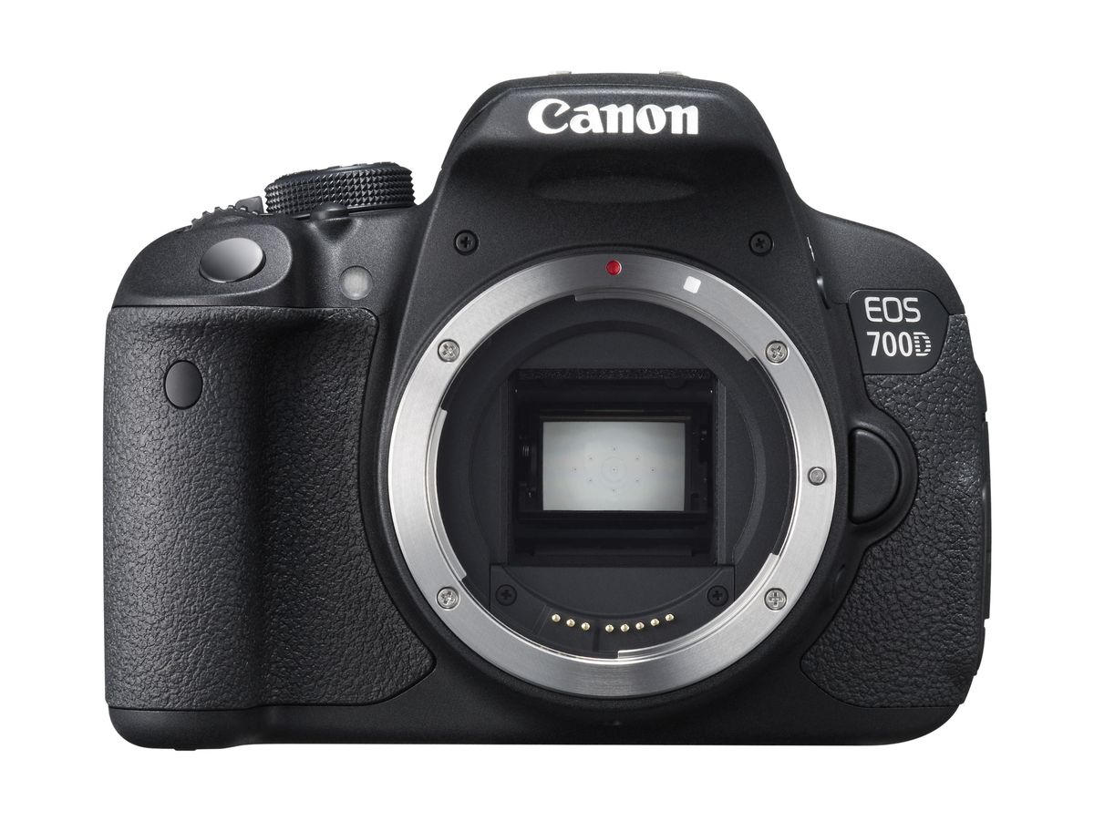 canon rp rf 35mm 1.8