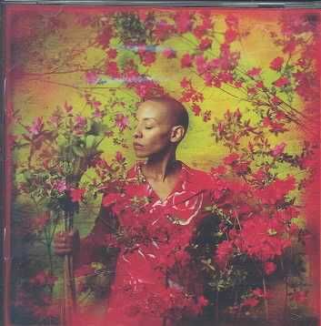 I Used to Be - (Import CD)