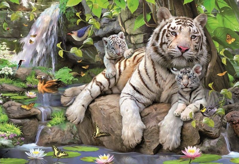 Educa White Tigers of Bengal - 1000 Piece Puzzle