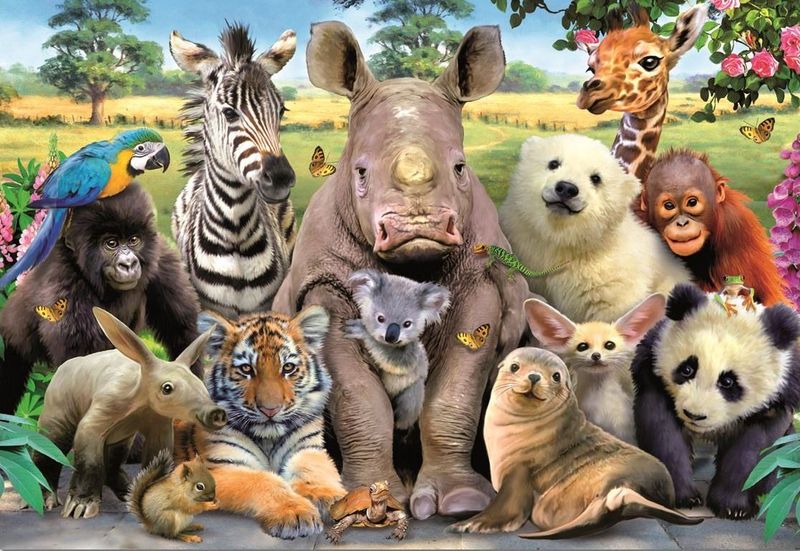 Educa It's A Class Photo - 1000 Piece Puzzle