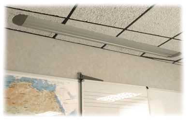 Parrot Ceiling Box - Grey