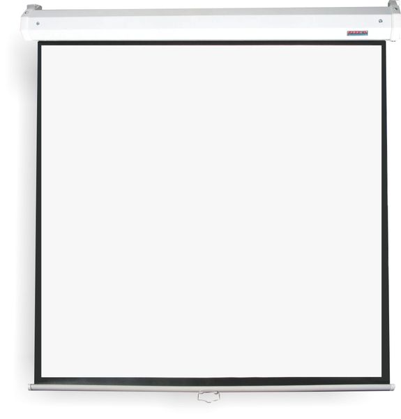 Parrot Pulldown Projector Screen - 2440 x 1850mm