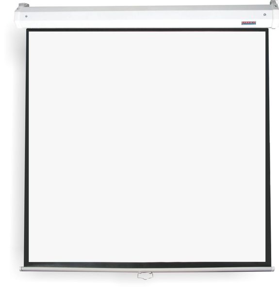 Parrot Pulldown Projector Screen - 3050 x 2310mm