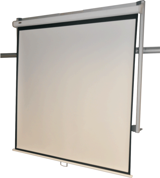 Parrot Easy Rail Screen Frame